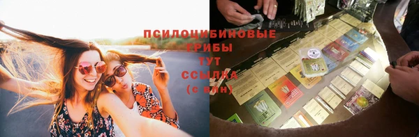 spice Алзамай
