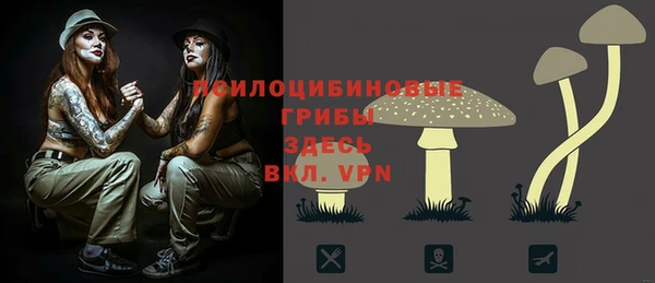 spice Алзамай