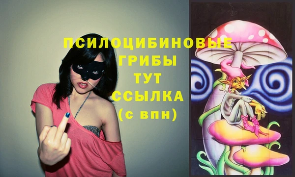 spice Алзамай