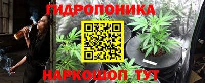 jwh Кинель