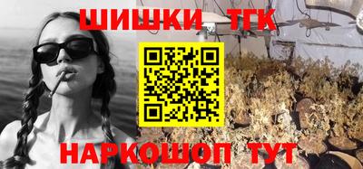 spice Кингисепп