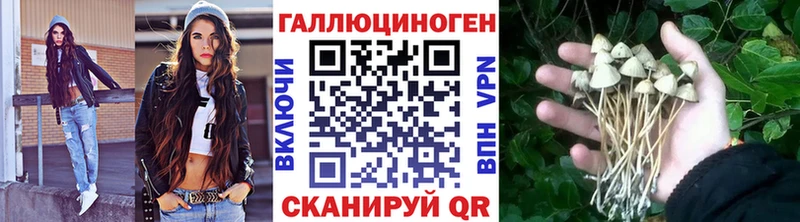 Псилоцибиновые грибы прущие грибы MEGA ссылка Лабинск