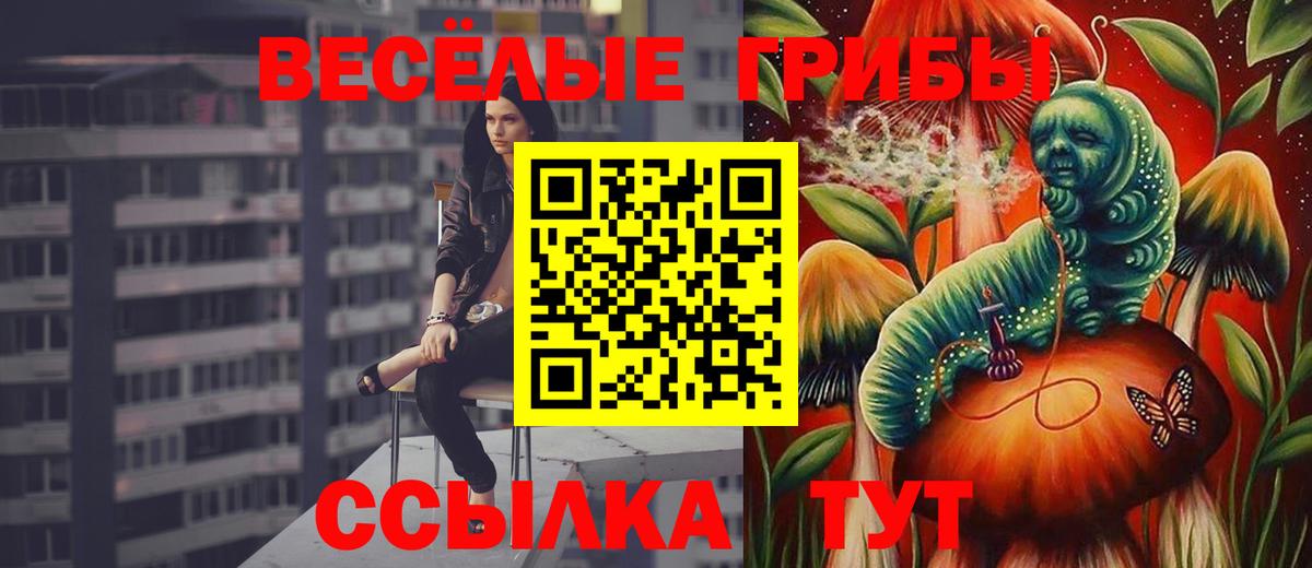 Галлюциногенные грибы прущие грибы Лабинск